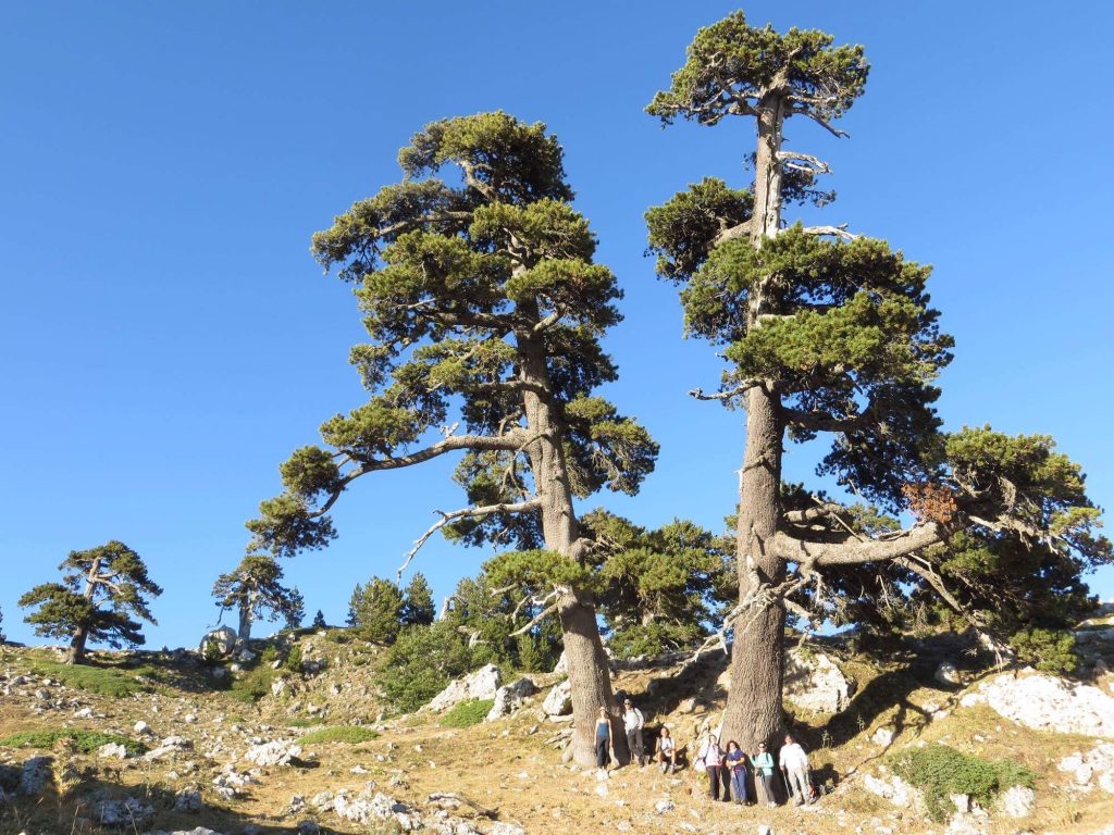 Monte Pollino